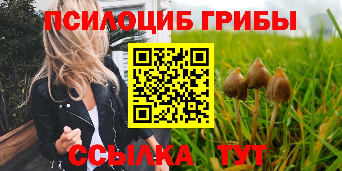 Псилоцибиновые грибы Cubensis Учалы